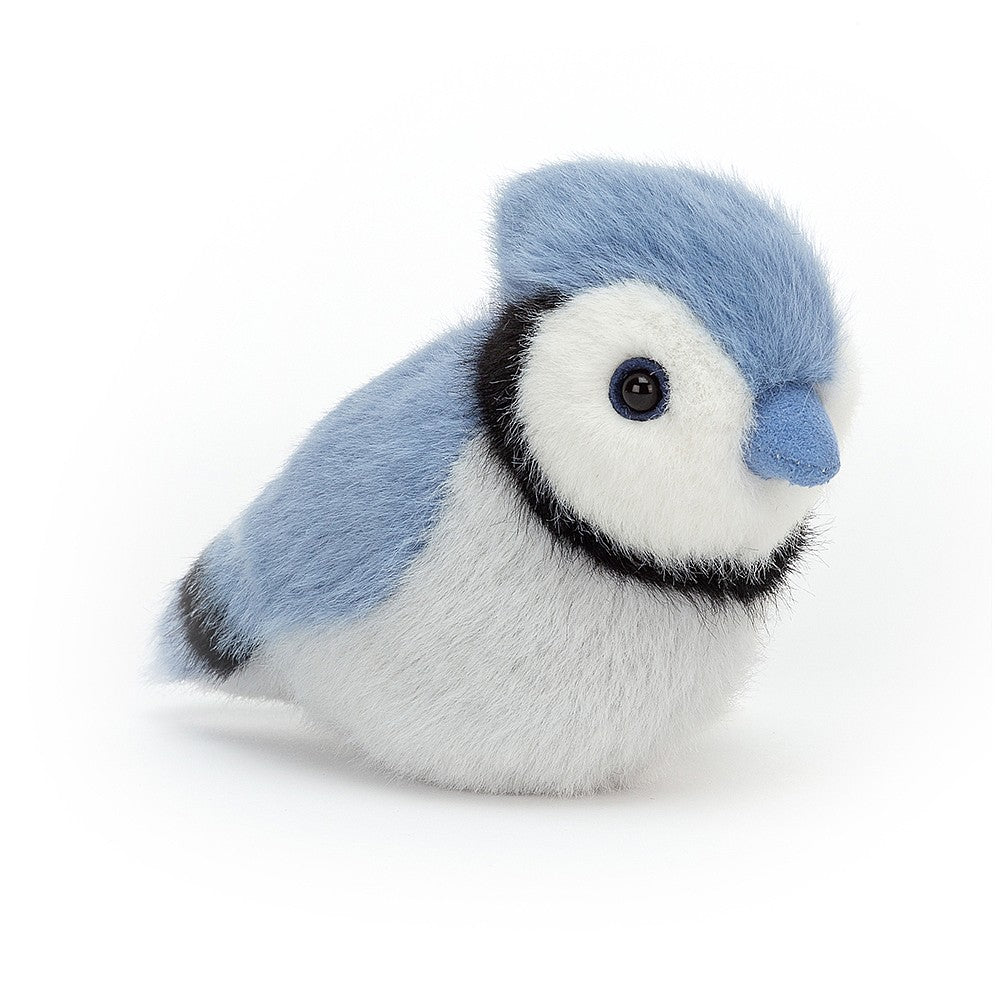  Squishable Blue Jay