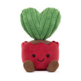 *NEW* Jellycat Amuseable Kerrii Cactus (LIMIT 1)