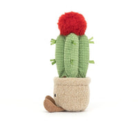 *NEW* Jellycat Amuseable Moon Cactus