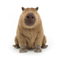 *NEW* Jellycat Clyde Capybara (LIMIT 2)
