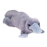 *NEW* Douglas Toys Allie Soft Platypus Plush