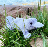 *NEW* Douglas Toys Allie Soft Platypus Plush