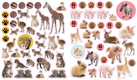 *NEW* Eyelike Stickers - Baby Animals