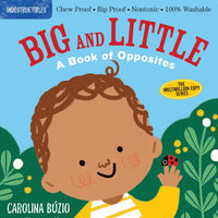 *NEW* Indestructibles Books - Big and Little