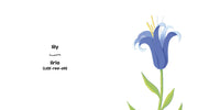 Colors Bilingual Board Books - Blue/Azul