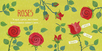 BabyLit Little Poet Board Books - Emily Dickinson: In Emily's Garden