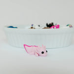 *NEW* Ruby's Dragons Tiny 3D Printed Axolotl Fidgets