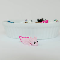 *NEW* Ruby's Dragons Tiny 3D Printed Axolotl Fidgets
