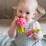 Oli & Carol Teethers - Fuscia the Dragonfruit