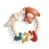 Itzy Ritzy Ritzy Rattle Silicone Teether