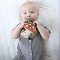 Itzy Ritzy Itzy Pal Plush & Teether - Mushroom