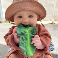Oli & Carol Teethers - Kendall the Kale