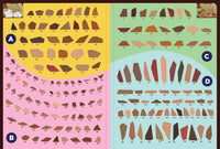 *NEW* Paint by Sticker: Works of Art