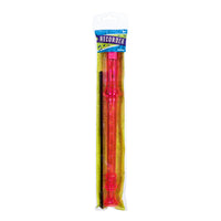 *NEW* Toysmith Recorder