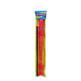 *NEW* Toysmith Recorder