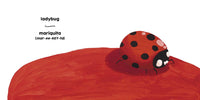 Colors Bilingual Board Books - Red/Rojo