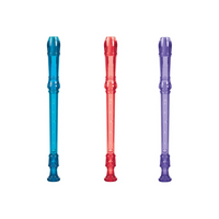 *NEW* Toysmith Recorder