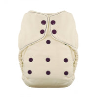 Thirsties One Size Fitted Diaper