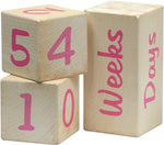 *FINAL SALE* Maple Landmark Portrait Prop Blocks
