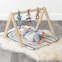 Itzy Ritzy Wooden Activity Gym with Toys