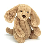 Jellycat Bashful Toffee Puppy (LIMIT 1)