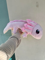 *FINAL SALE* Axol & Friends Realistic Axolotl Weighted Plush