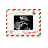 Pearhead 'Special Delivery' Sonogram Holiday Picture Frame
